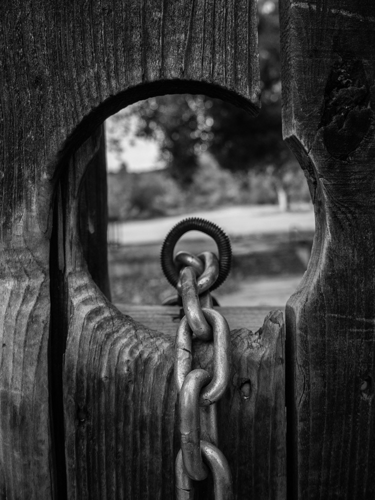 Descansco Gardens 11